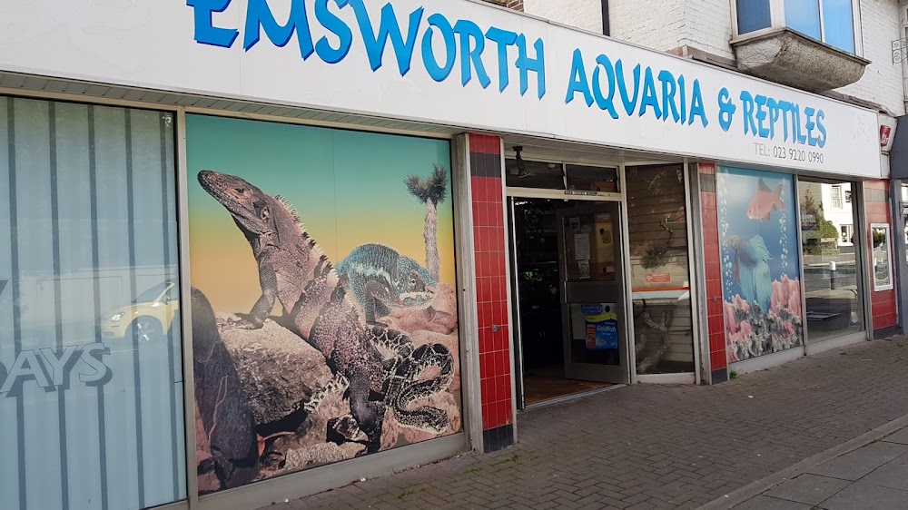 Emsworth Reptiles U.K. - Reptile store in Drayton - Website