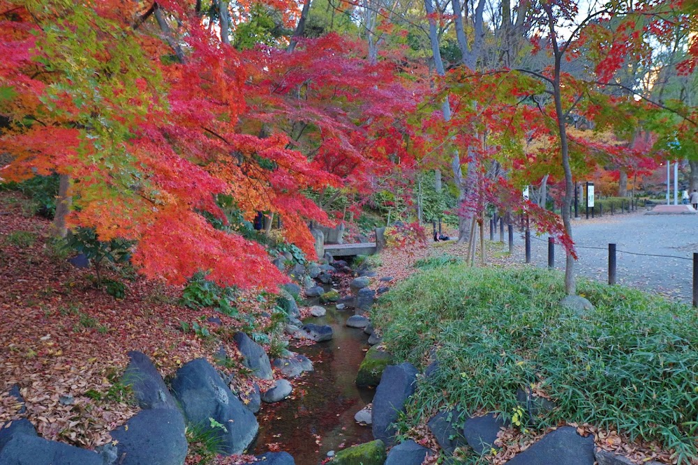 Momiji Waterfall - Tourist attraction in Minato City - Website