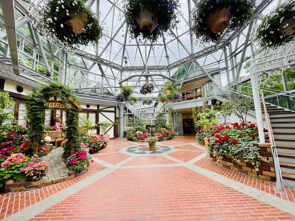 ミュージシャン HERB GARDEN Amazon.co.jp: HERB GARDEN: ミュージック