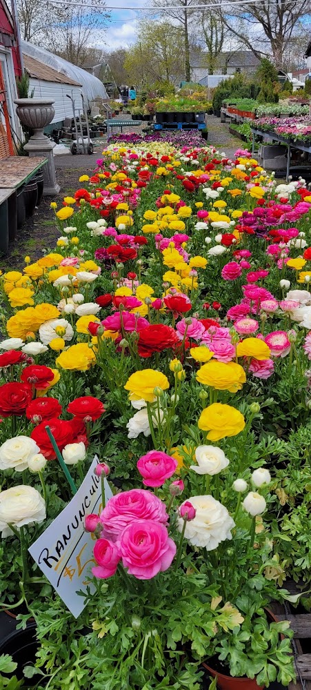 The Farm at Lloyd Road - Garden center in Strathmore - Website